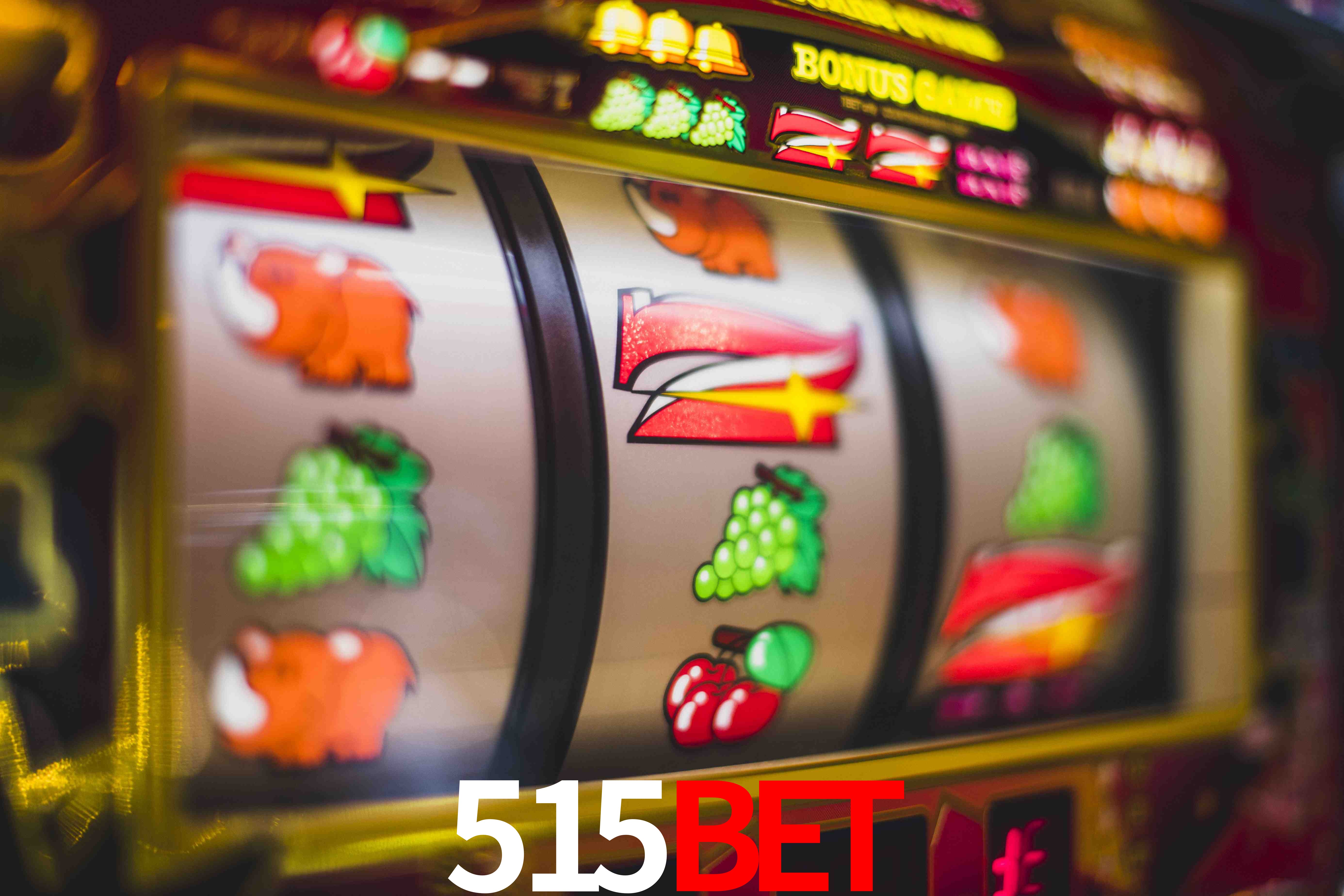 Experiência VIP 515BET